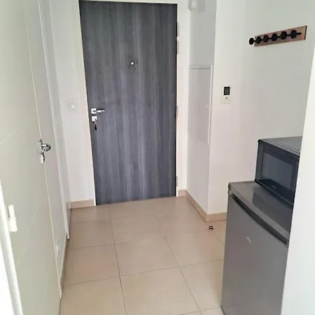 Casa Rosa : Appartement Moderne Avec Balcon Tassin-la-Demi-Lune Buitenkant foto