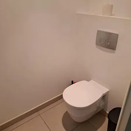 Casa Rosa : Appartement Moderne Avec Balcon Tassin-la-Demi-Lune Buitenkant foto